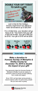 Humane Society of Memphis & Shelby County fundraising email