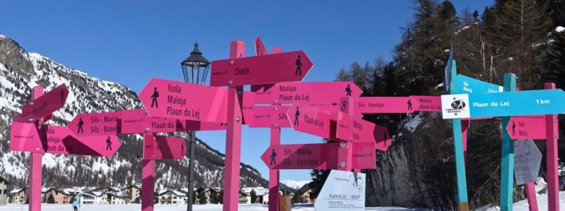 pink-signs-twitter