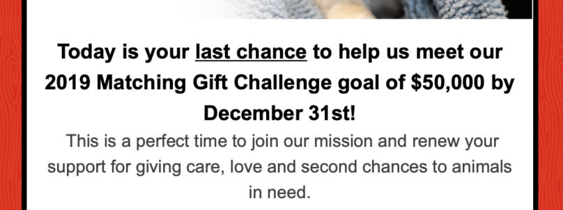 HumaneSociety-Email