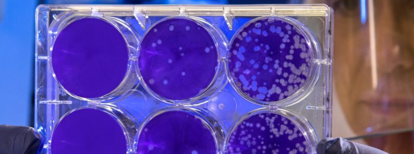 How to help: Donate to nonprofits affected by Coronavirus (Covid-19)
