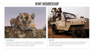 WWF example