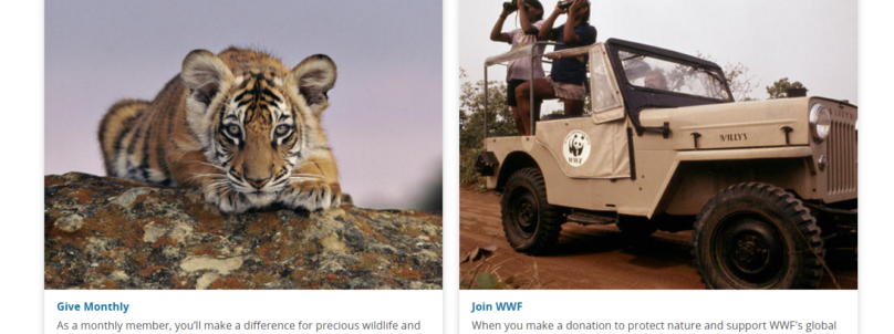 monthly-giving-wwf