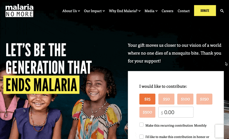 Malaria No More Donation Page