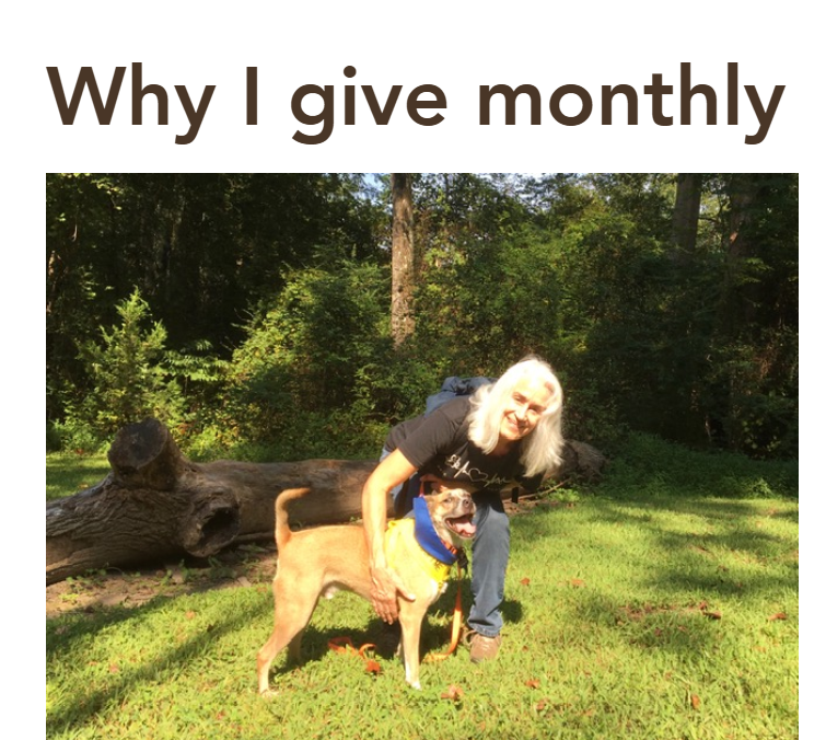 PAWS Atlanta